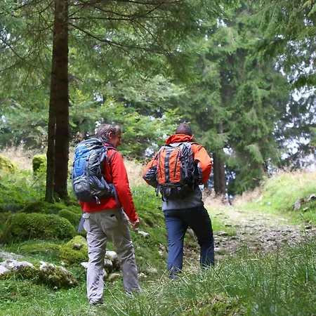 Pensjonat Sunshine 4*